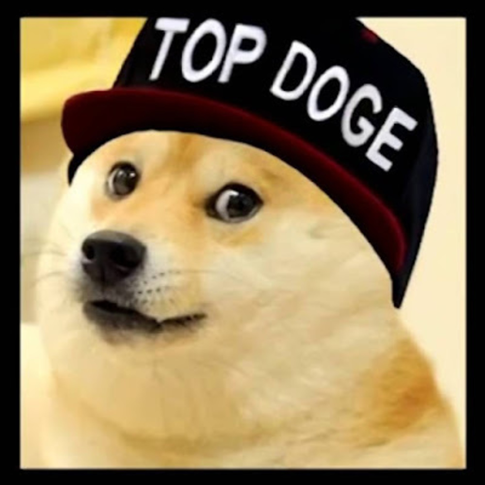 Meet your Posher, Ateyourdoge